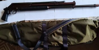 рысь 12