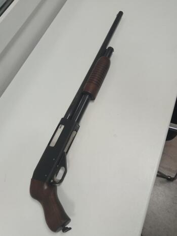 Иж. 81Ягуар, 12 кал.
