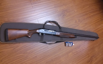 Stoeger 2000