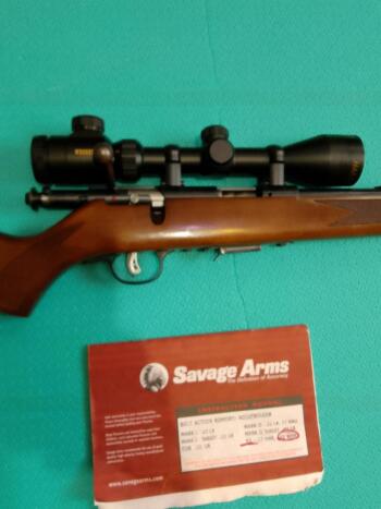 SAVAGE 93