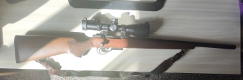 CZ 457 22WMR WARMINT