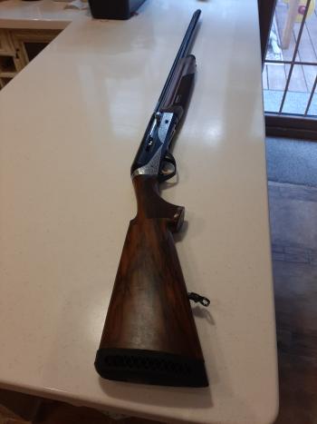 Benelli Raffaello Elegant 12/76