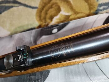 Gamo Big Cat Hanter