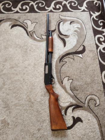 ИЖ-81